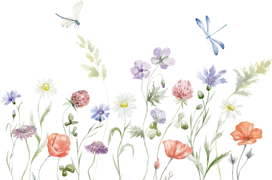 Watercolor Wildflowers Border with Dragonfly.